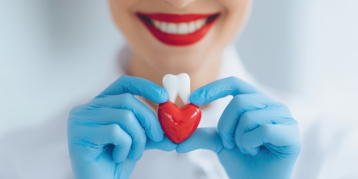 The smiling dentist holding a heart-shaped model for dental health awareness.
